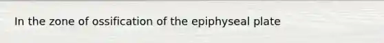 In the zone of ossification of the epiphyseal plate