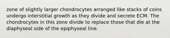 zone of slightly larger chondrocytes arranged like stacks of coins undergo interstitial growth as they divide and secrete ECM. The chondrocytes in this zone divide to replace those that die at the diaphyseal side of the epiphyseal line.