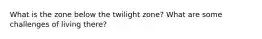 What is the zone below the twilight zone? What are some challenges of living there?