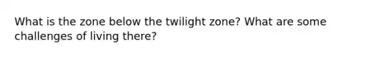 What is the zone below the twilight zone? What are some challenges of living there?