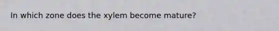 In which zone does the xylem become mature?