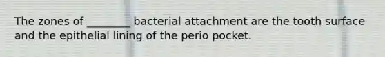 The zones of ________ bacterial attachment are the tooth surface and the epithelial lining of the perio pocket.