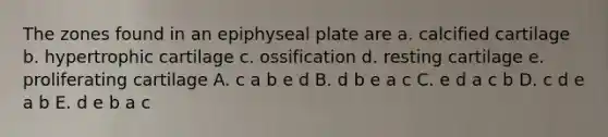 The zones found in an epiphyseal plate are a. calcified cartilage b. hypertrophic cartilage c. ossification d. resting cartilage e. proliferating cartilage A. c a b e d B. d b e a c C. e d a c b D. c d e a b E. d e b a c