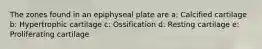 The zones found in an epiphyseal plate are a: Calcified cartilage b: Hypertrophic cartilage c: Ossification d: Resting cartilage e: Proliferating cartilage