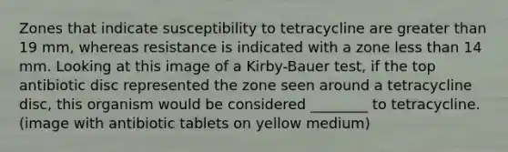 Zones that indicate susceptibility to tetracycline are greater than 19 mm, whereas resistance is indicated with a zone less than 14 mm. Looking at this image of a Kirby-Bauer test, if the top antibiotic disc represented the zone seen around a tetracycline disc, this organism would be considered ________ to tetracycline. (image with antibiotic tablets on yellow medium)