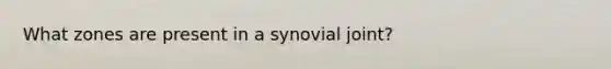 What zones are present in a synovial joint?