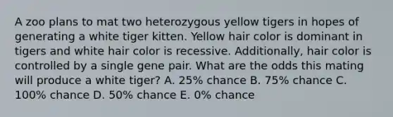 A zoo plans to mat two heterozygous yellow tigers in hopes of generating a white tiger kitten. Yellow hair color is dominant in tigers and white hair color is recessive. Additionally, hair color is controlled by a single gene pair. What are the odds this mating will produce a white tiger? A. 25% chance B. 75% chance C. 100% chance D. 50% chance E. 0% chance