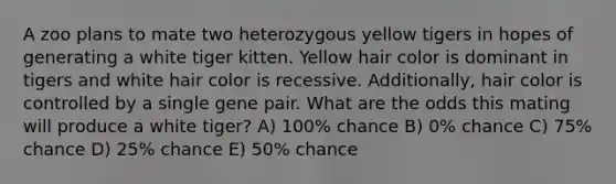 A zoo plans to mate two heterozygous yellow tigers in hopes of generating a white tiger kitten. Yellow hair color is dominant in tigers and white hair color is recessive. Additionally, hair color is controlled by a single gene pair. What are the odds this mating will produce a white tiger? A) 100% chance B) 0% chance C) 75% chance D) 25% chance E) 50% chance