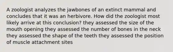 A zoologist analyzes the jawbones of an extinct mammal and concludes that it was an herbivore. How did the zoologist most likely arrive at this conclusion? they assessed the size of the mouth opening they assessed the number of bones in the neck they assessed the shape of the teeth they assessed the position of muscle attachment sites