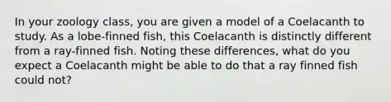 In your zoology class, you are given a model of a Coelacanth to study. As a lobe-finned fish, this Coelacanth is distinctly different from a ray-finned fish. Noting these differences, what do you expect a Coelacanth might be able to do that a ray finned fish could not?