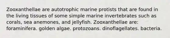 Zooxanthellae are autotrophic marine protists that are found in the living tissues of some simple marine invertebrates such as corals, sea anemones, and jellyfish. Zooxanthellae are: foraminifera. golden algae. protozoans. dinoflagellates. bacteria.