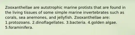 Zooxanthellae are autotrophic marine protists that are found in the living tissues of some simple marine invertebrates such as corals, sea anemones, and jellyfish. Zooxanthellae are: 1.protozoans. 2.dinoflagellates. 3.bacteria. 4.golden algae. 5.foraminifera.