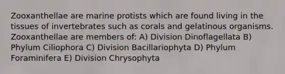 Zooxanthellae are marine protists which are found living in the tissues of invertebrates such as corals and gelatinous organisms. Zooxanthellae are members of: A) Division Dinoflagellata B) Phylum Ciliophora C) Division Bacillariophyta D) Phylum Foraminifera E) Division Chrysophyta