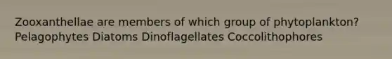 Zooxanthellae are members of which group of phytoplankton? Pelagophytes Diatoms Dinoflagellates Coccolithophores