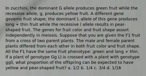 In zucchini, the dominant G allele produces green fruit while the recessive allele, g, produces yellow fruit. A different gene governs fruit shape; the dominant L allele of this gene produces long + thin fruit while the recessive l allele results in pear-shaped fruit. The genes for fruit color and fruit shape assort independently in meiosis. Suppose that you are given the F1 fruit from a cross of two parent plants. The male and female parent plants differed from each other in both fruit color and fruit shape. All the F1 have the same fruit phenotype: green and long + thin. If a plant of genotype Gg Ll is crossed with a plant with genotype ggll, what proportion of the offspring can be expected to have yellow and pear-shaped fruit? a. 1/2 b. 1/4 c. 3/4 d. 1/16