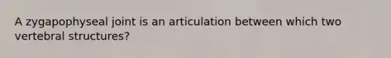 A zygapophyseal joint is an articulation between which two vertebral structures?