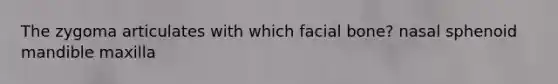 The zygoma articulates with which facial bone? nasal sphenoid mandible maxilla