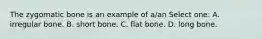 The zygomatic bone is an example of a/an Select one: A. irregular bone. B. short bone. C. flat bone. D. long bone.