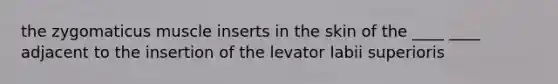 the zygomaticus muscle inserts in the skin of the ____ ____ adjacent to the insertion of the levator labii superioris