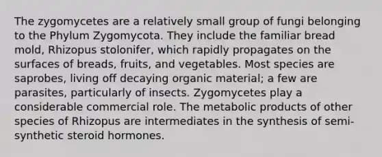 The zygomycetes are a relatively small group of fungi belonging to the Phylum Zygomycota. They include the familiar bread mold, Rhizopus stolonifer, which rapidly propagates on the surfaces of breads, fruits, and vegetables. Most species are saprobes, living off decaying organic material; a few are parasites, particularly of insects. Zygomycetes play a considerable commercial role. The metabolic products of other species of Rhizopus are intermediates in the synthesis of semi-synthetic steroid hormones.