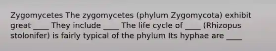 Zygomycetes The zygomycetes (phylum Zygomycota) exhibit great ____ They include ____ The life cycle of ____ (Rhizopus stolonifer) is fairly typical of the phylum Its hyphae are ____