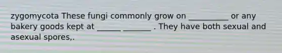 zygomycota These fungi commonly grow on __________ or any bakery goods kept at ______ _______ . They have both sexual and asexual spores,.