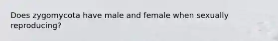 Does zygomycota have male and female when sexually reproducing?