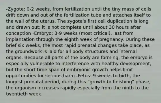 -Zygote: 0-2 weeks, from fertilization until the tiny mass of cells drift down and out of the fertilization tube and attaches itself to the wall of the uterus. The zygote's first cell duplication is long and drawn out; it is not complete until about 30 hours after conception -Embryo: 3-9 weeks (most critical), last from implantation through the eighth week of pregnancy. During these brief six weeks, the most rapid prenatal changes take place, as the groundwork is laid for all body structures and internal organs. Because all parts of the body are forming, the embryo is especially vulnerable to interference with healthy development, but the short time span of embryonic growth helps limit opportunities for serious harm -Fetus: 9 weeks to birth, the longest prenatal period, during this "growth to finishing" phase, the organism increases rapidly especially from the ninth to the twentieth week