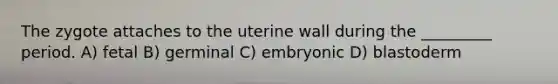 The zygote attaches to the uterine wall during the _________ period. A) fetal B) germinal C) embryonic D) blastoderm