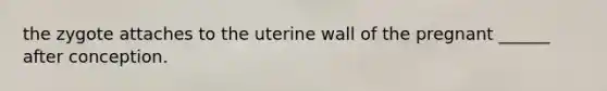 the zygote attaches to the uterine wall of the pregnant ______ after conception.