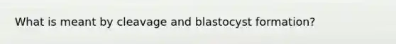 What is meant by cleavage and blastocyst formation?