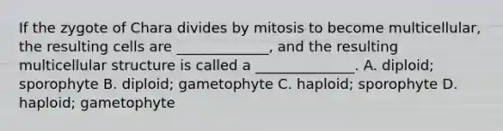 If the zygote of Chara divides by mitosis to become multicellular, the resulting cells are _____________, and the resulting multicellular structure is called a ______________. A. diploid; sporophyte B. diploid; gametophyte C. haploid; sporophyte D. haploid; gametophyte