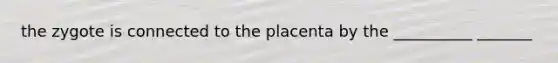 the zygote is connected to the placenta by the __________ _______