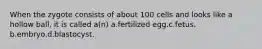 When the zygote consists of about 100 cells and looks like a hollow ball, it is called a(n) a.fertilized egg.c.fetus. b.embryo.d.blastocyst.