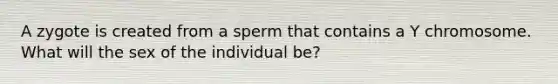 A zygote is created from a sperm that contains a Y chromosome. What will the sex of the individual be?