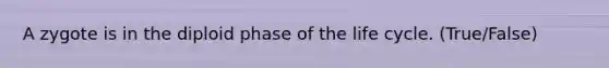 A zygote is in the diploid phase of the life cycle. (True/False)