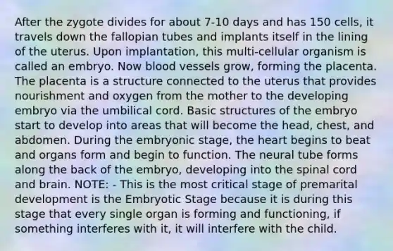 After the zygote divides for about 7-10 days and has 150 cells, it travels down the fallopian tubes and implants itself in the lining of the uterus. Upon implantation, this multi-cellular organism is called an embryo. Now <a href='https://www.questionai.com/knowledge/kZJ3mNKN7P-blood-vessels' class='anchor-knowledge'>blood vessels</a> grow, forming the placenta. The placenta is a structure connected to the uterus that provides nourishment and oxygen from the mother to the developing embryo via the umbilical cord. Basic structures of the embryo start to develop into areas that will become the head, chest, and abdomen. During the embryonic stage, <a href='https://www.questionai.com/knowledge/kya8ocqc6o-the-heart' class='anchor-knowledge'>the heart</a> begins to beat and organs form and begin to function. The neural tube forms along the back of the embryo, developing into <a href='https://www.questionai.com/knowledge/kkAfzcJHuZ-the-spinal-cord' class='anchor-knowledge'>the spinal cord</a> and brain. NOTE: - This is the most critical stage of premarital development is the Embryotic Stage because it is during this stage that every single organ is forming and functioning, if something interferes with it, it will interfere with the child.