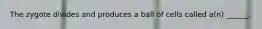 The zygote divides and produces a ball of cells called a(n) ______.