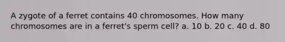 A zygote of a ferret contains 40 chromosomes. How many chromosomes are in a ferret's sperm cell? a. 10 b. 20 c. 40 d. 80