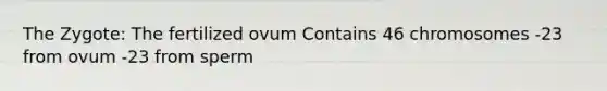 The Zygote: The fertilized ovum Contains 46 chromosomes -23 from ovum -23 from sperm