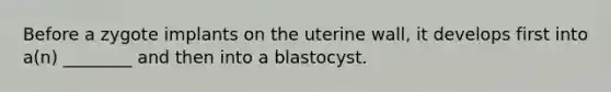 Before a zygote implants on the uterine wall, it develops first into a(n) ________ and then into a blastocyst.