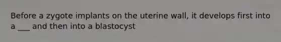 Before a zygote implants on the uterine wall, it develops first into a ___ and then into a blastocyst