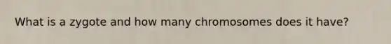 What is a zygote and how many chromosomes does it have?