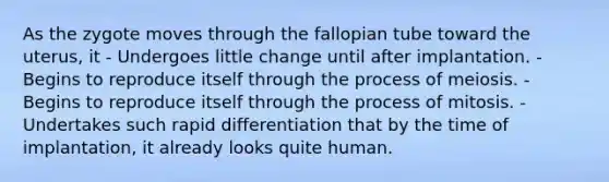 As the zygote moves through the fallopian tube toward the uterus, it - Undergoes little change until after implantation. - Begins to reproduce itself through the process of meiosis. - Begins to reproduce itself through the process of mitosis. - Undertakes such rapid differentiation that by the time of implantation, it already looks quite human.