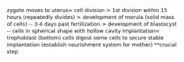 zygote moves to uterus= cell division > 1st division within 15 hours (repeatedly divides) > development of morula (solid mass of cells) -- 3-4 days past fertilization > development of blastocyst -- cells in spherical shape with hollow cavity Implantation= trophoblast (bottom) cells digest some cells to secure stable implantation (establish nourishment system for mother) **crucial step