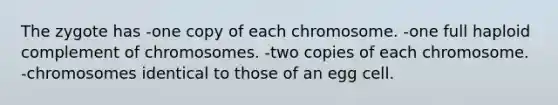 The zygote has -one copy of each chromosome. -one full haploid complement of chromosomes. -two copies of each chromosome. -chromosomes identical to those of an egg cell.