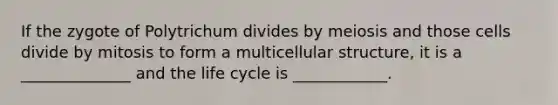 If the zygote of Polytrichum divides by meiosis and those cells divide by mitosis to form a multicellular structure, it is a ______________ and the life cycle is ____________.