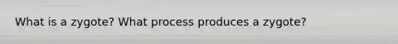 What is a zygote? What process produces a zygote?