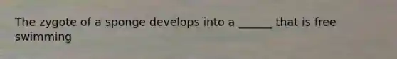 The zygote of a sponge develops into a ______ that is free swimming