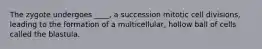 The zygote undergoes ____, a succession mitotic cell divisions, leading to the formation of a multicellular, hollow ball of cells called the blastula.